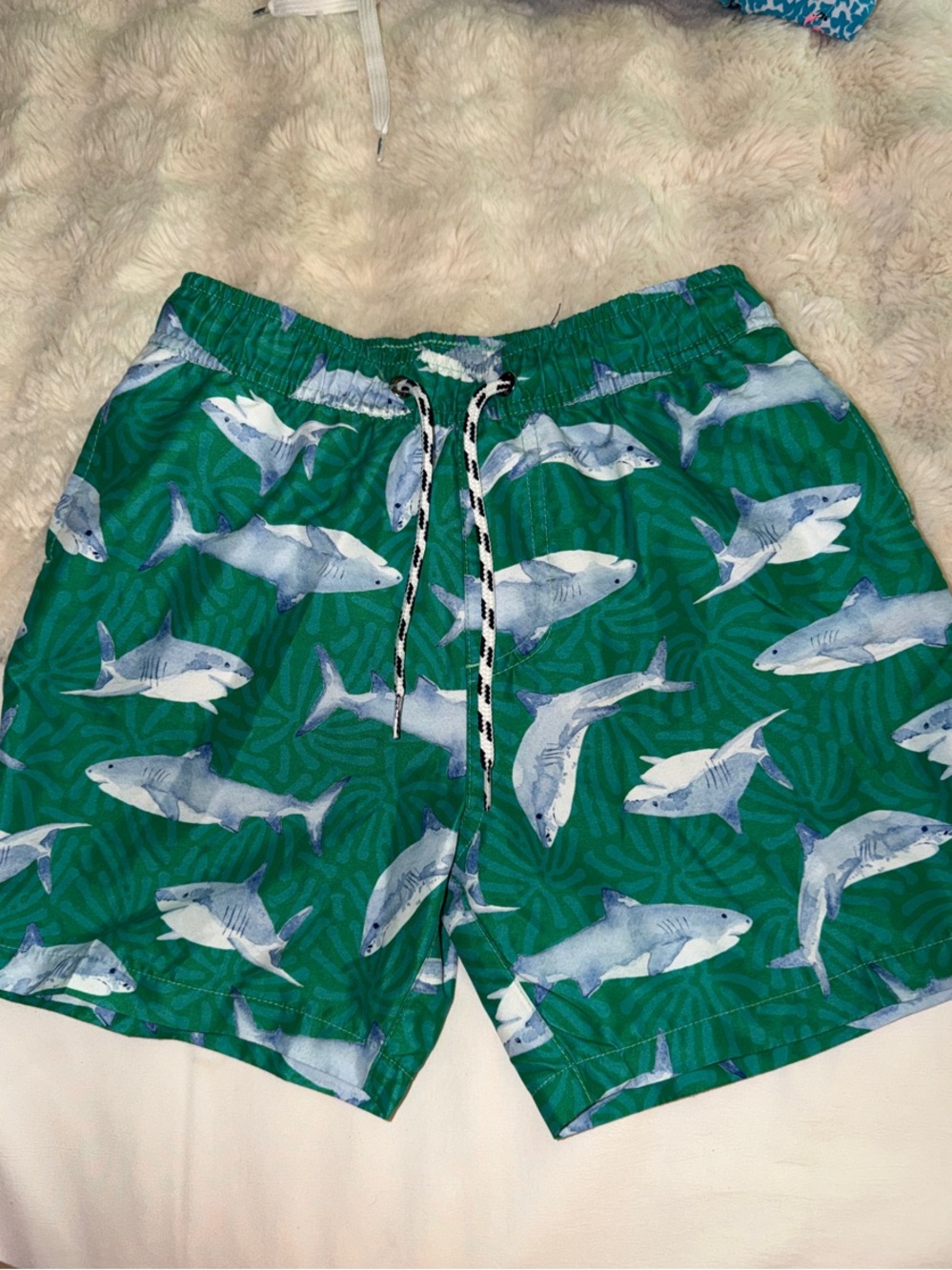 Snapper Rock Green Shark-Pattern Kids Swim Trunks with Blue Sharks